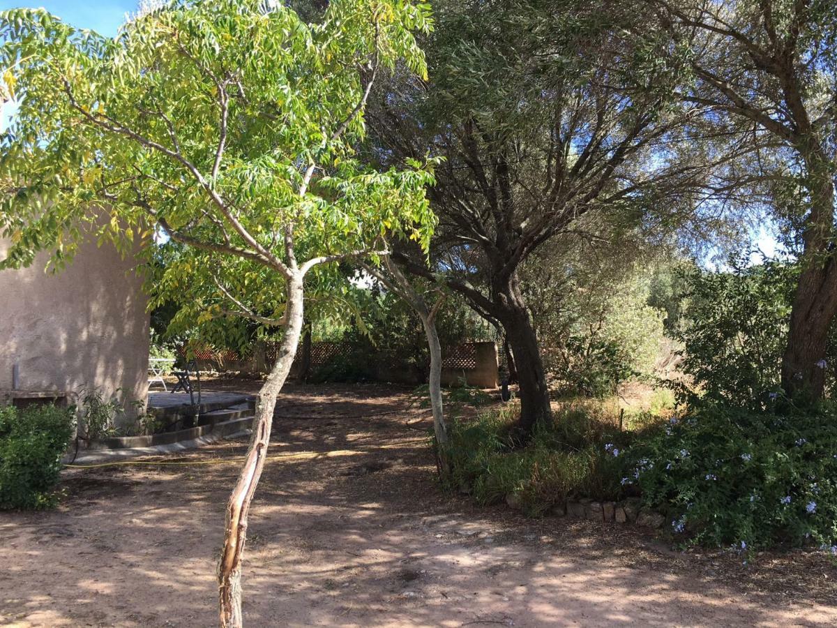 Gite A Poggiale De Figari Figari  Exteriör bild